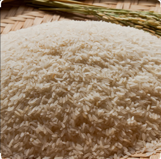 Screenshot 2026-03-04 075946.png