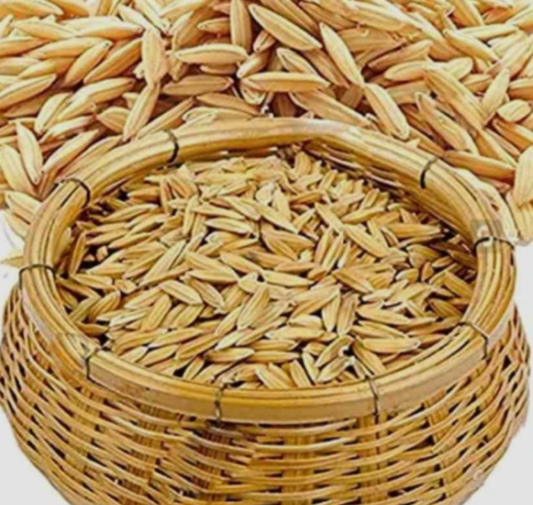 A wicker basket filled with dried rice grains , paddy ricee
