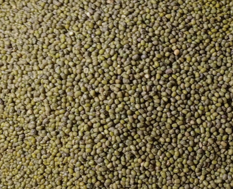 Screenshot 2026-03-04 091409.png