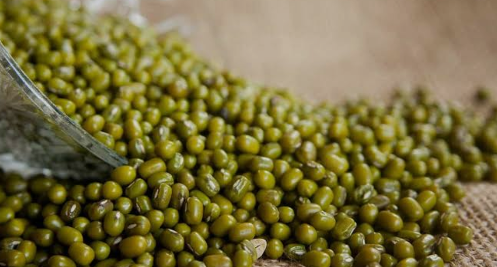 Green mung beans being poured onto a surface from a plastic container. Monggo or balatong