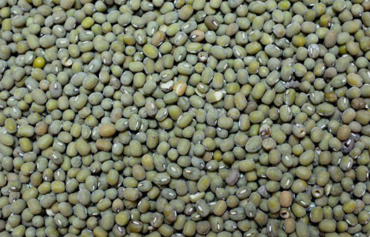 Screenshot 2026-03-04 091350.png