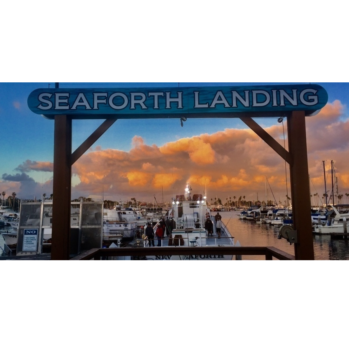 Seaforth Sportfishing Fish Counts