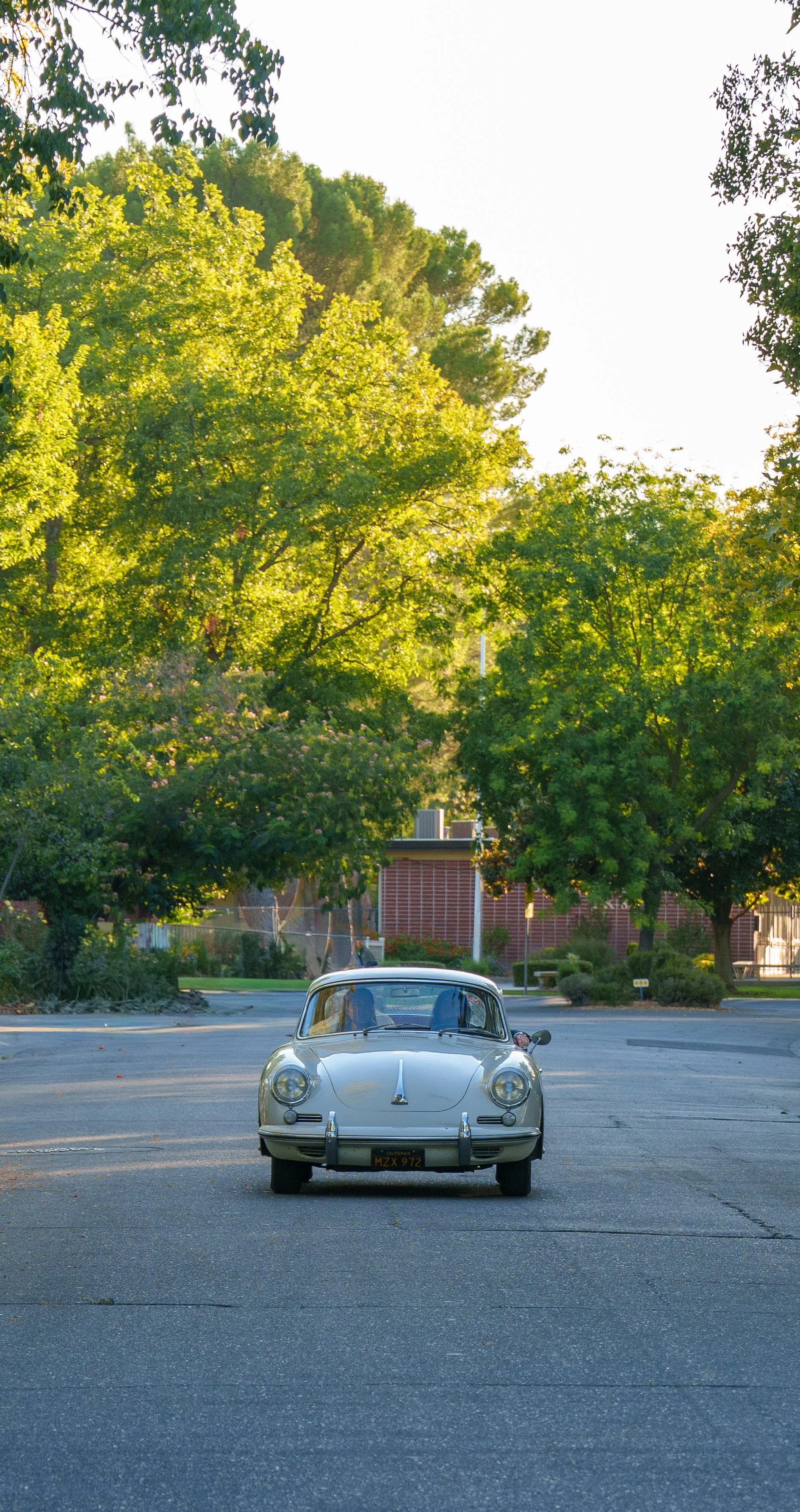 RGP02560.jpg