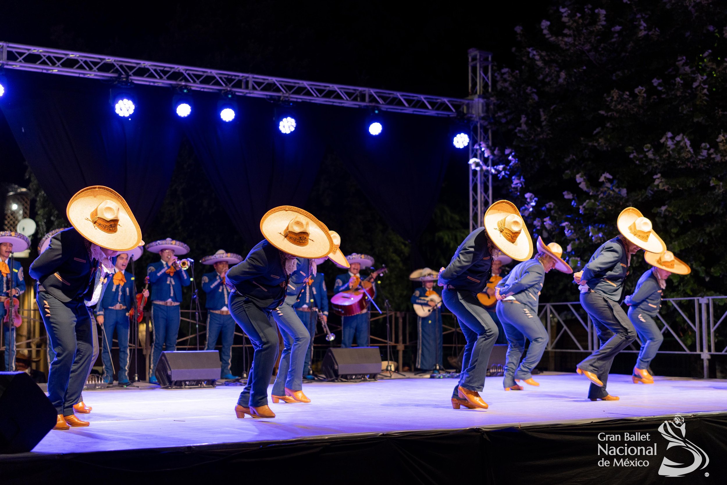 WhatsApp Image 2025-07-27 at 4.36.34 AM.jpeg