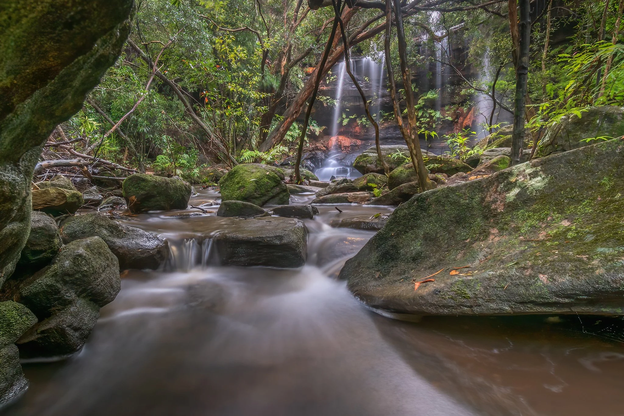 A small waterfall flowing into a rocky stream surrounded by dense forest foliage.