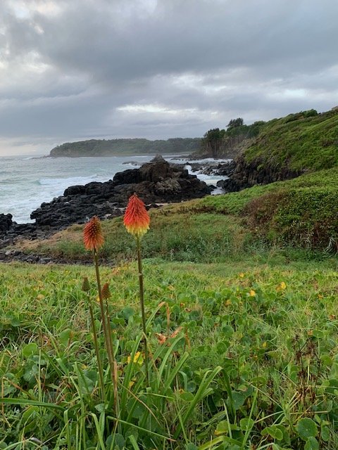 Beach with rocky shoreline, green grass, plants, and flowers under a cloudy sky.