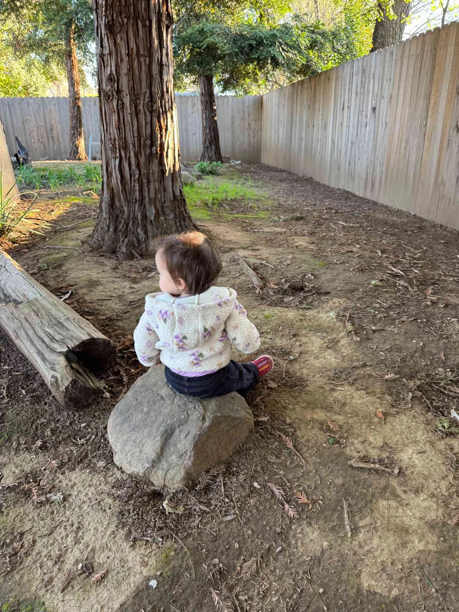 A young child sitting on a large rock in a backyard, surrounded by trees and a wooden fence, with dirt and some patches of grass on the ground.