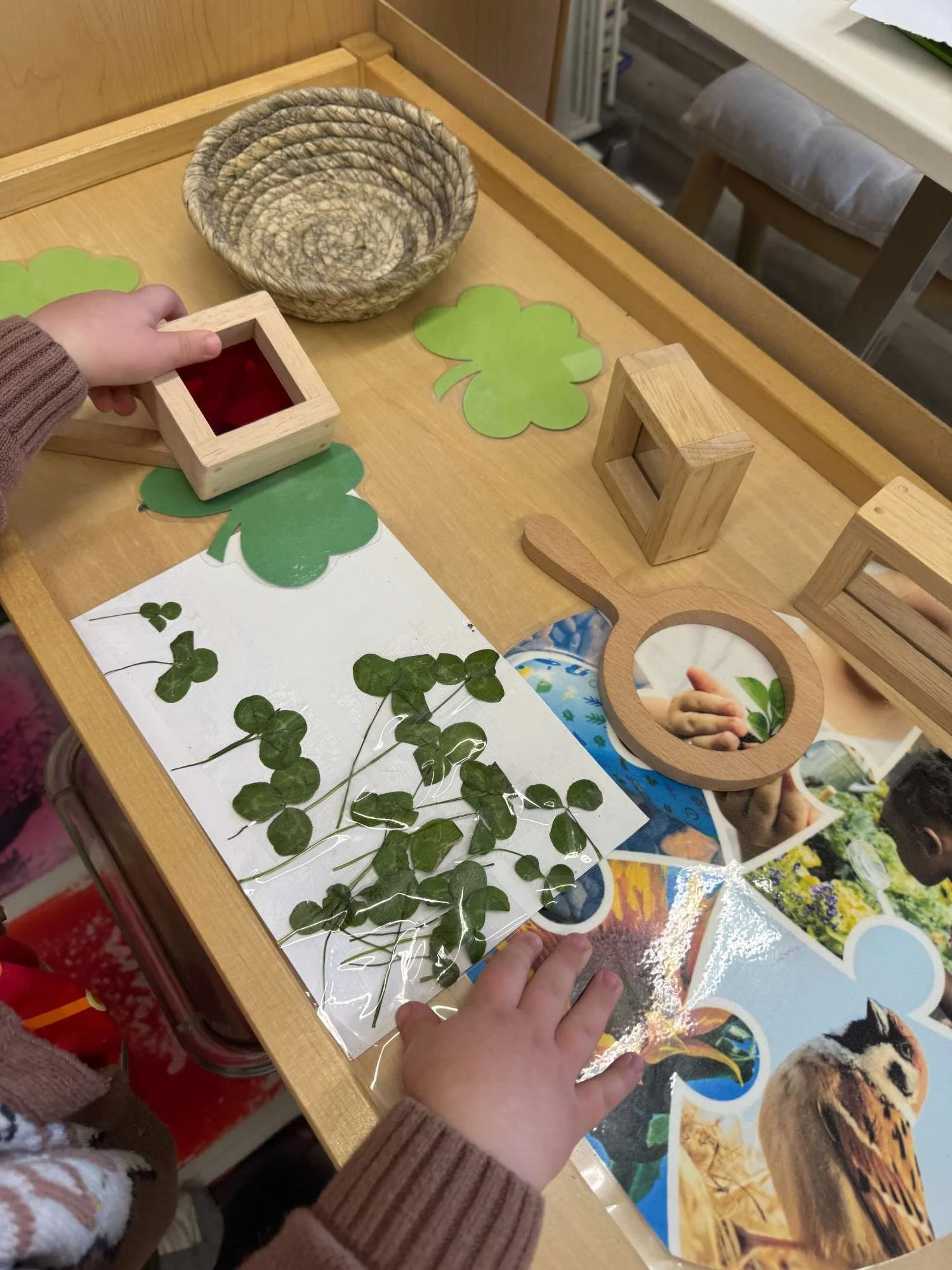Child's hands reaching for a wooden frame object at a table with green leaf cutouts, a small woven basket, a laminated picture of clovers, and photographs of animals and nature.