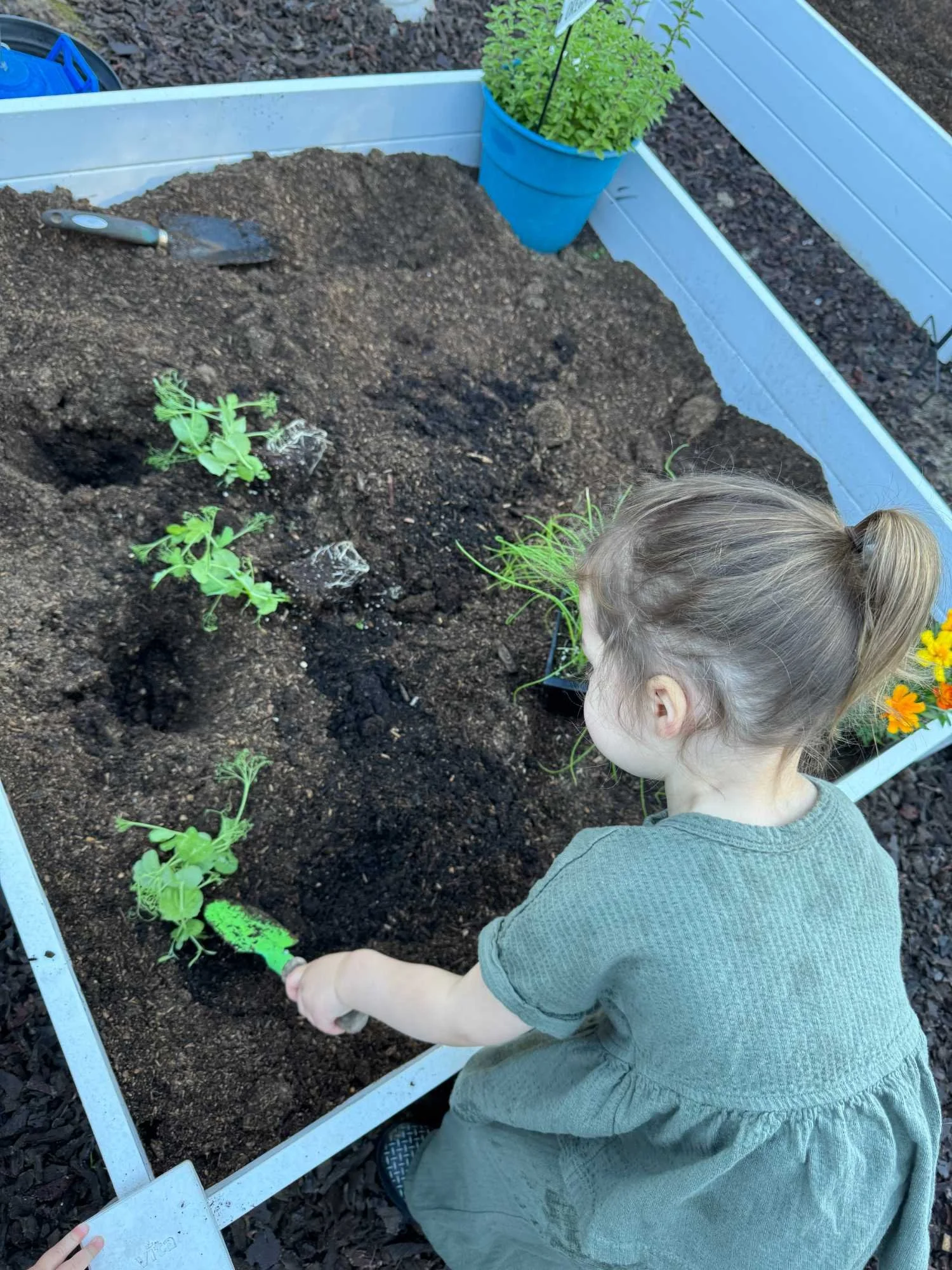 A young girl with a ponytail planting or watering plants in a raised garden bed, with a blue planter containing a green plant and yellow flowers in the background.