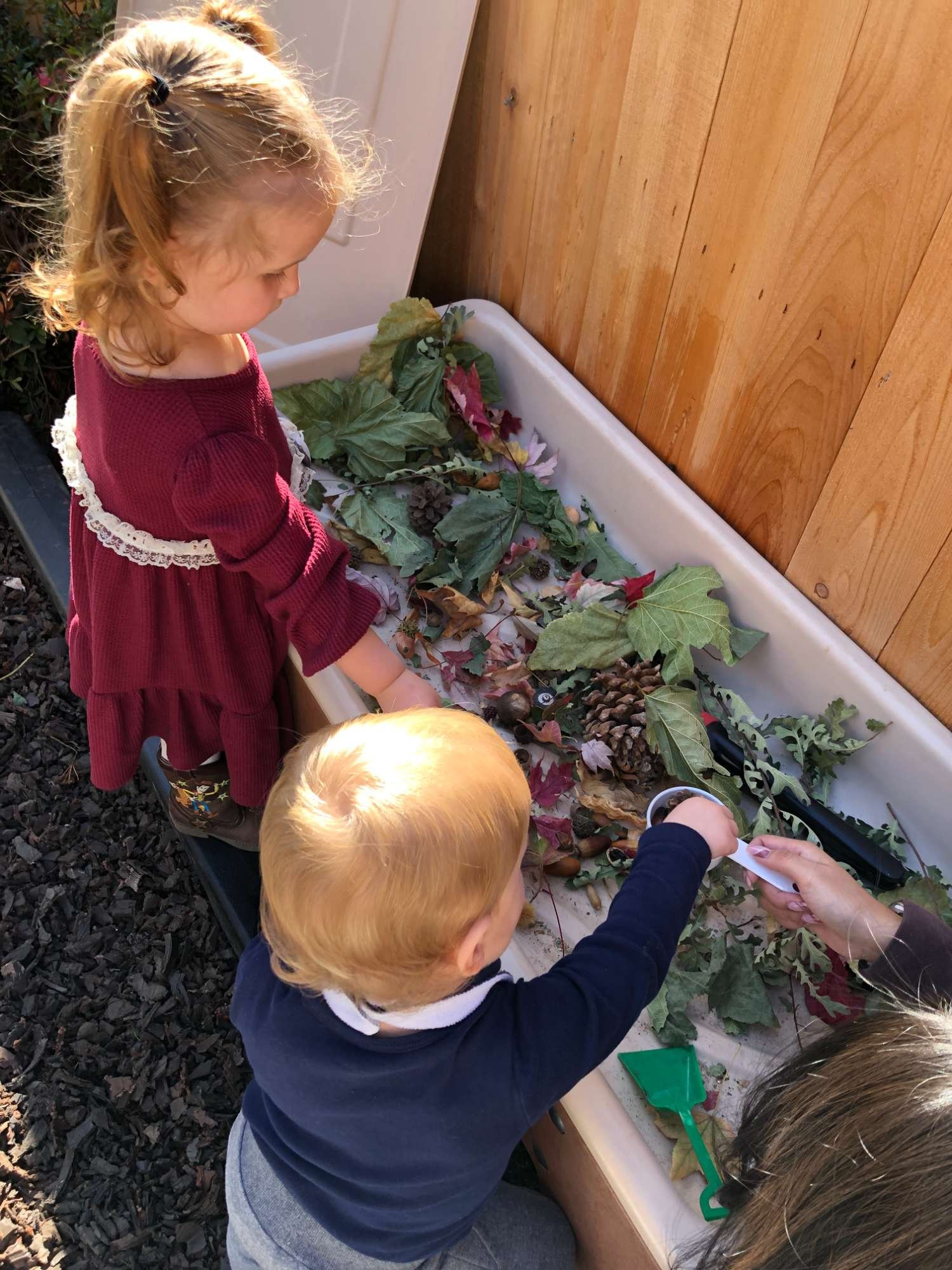 Two children, a girl with curly blond hair in a red dress and a boy with straight blond hair in a dark shirt, exploring items like leaves, pinecones, and acorns on a white table outdoors, with a wooden fence behind them.
