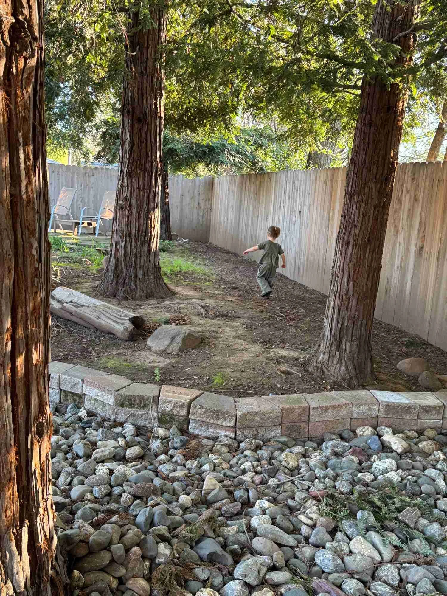 A young child walking in a backyard with tall trees, a wooden fence, and a rock-lined garden area.