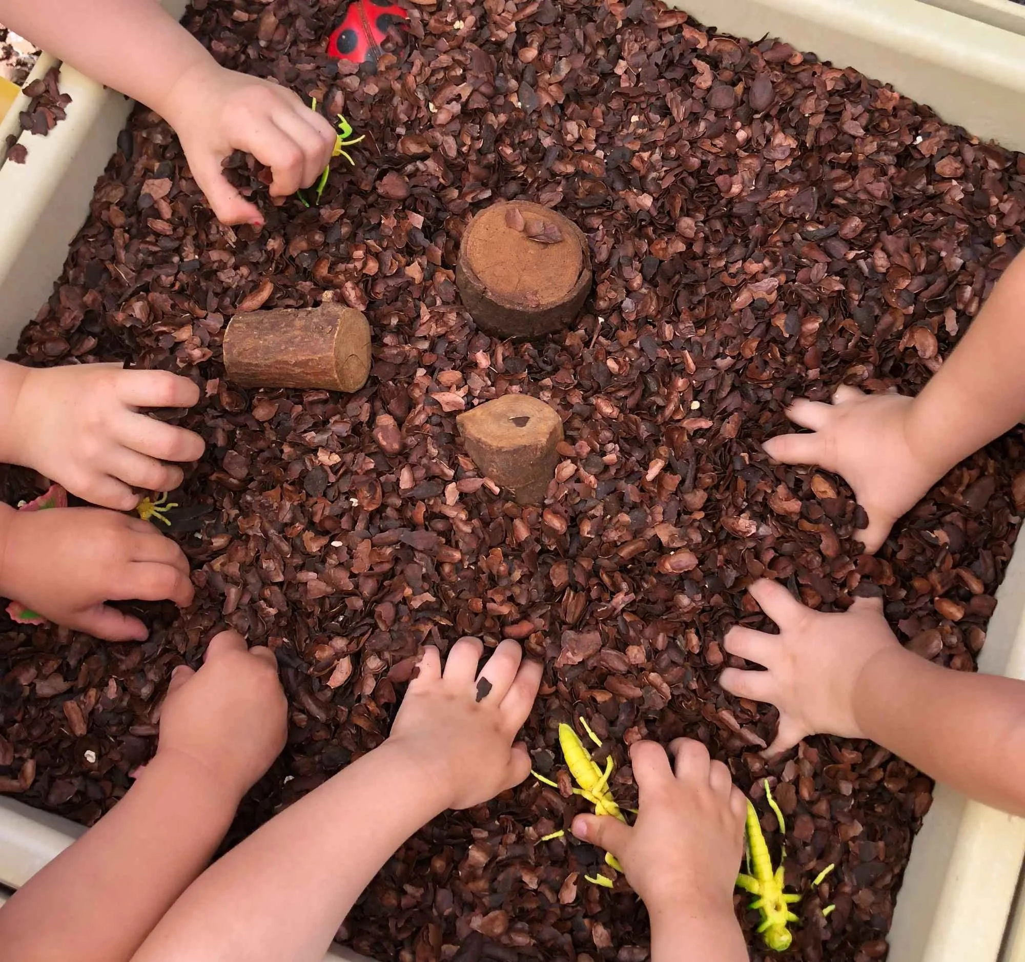 Multiple children's hands reaching into a sensory bin filled with small brown and red bark chips, with three wooden logs and some yellow plastic animal toys inside.