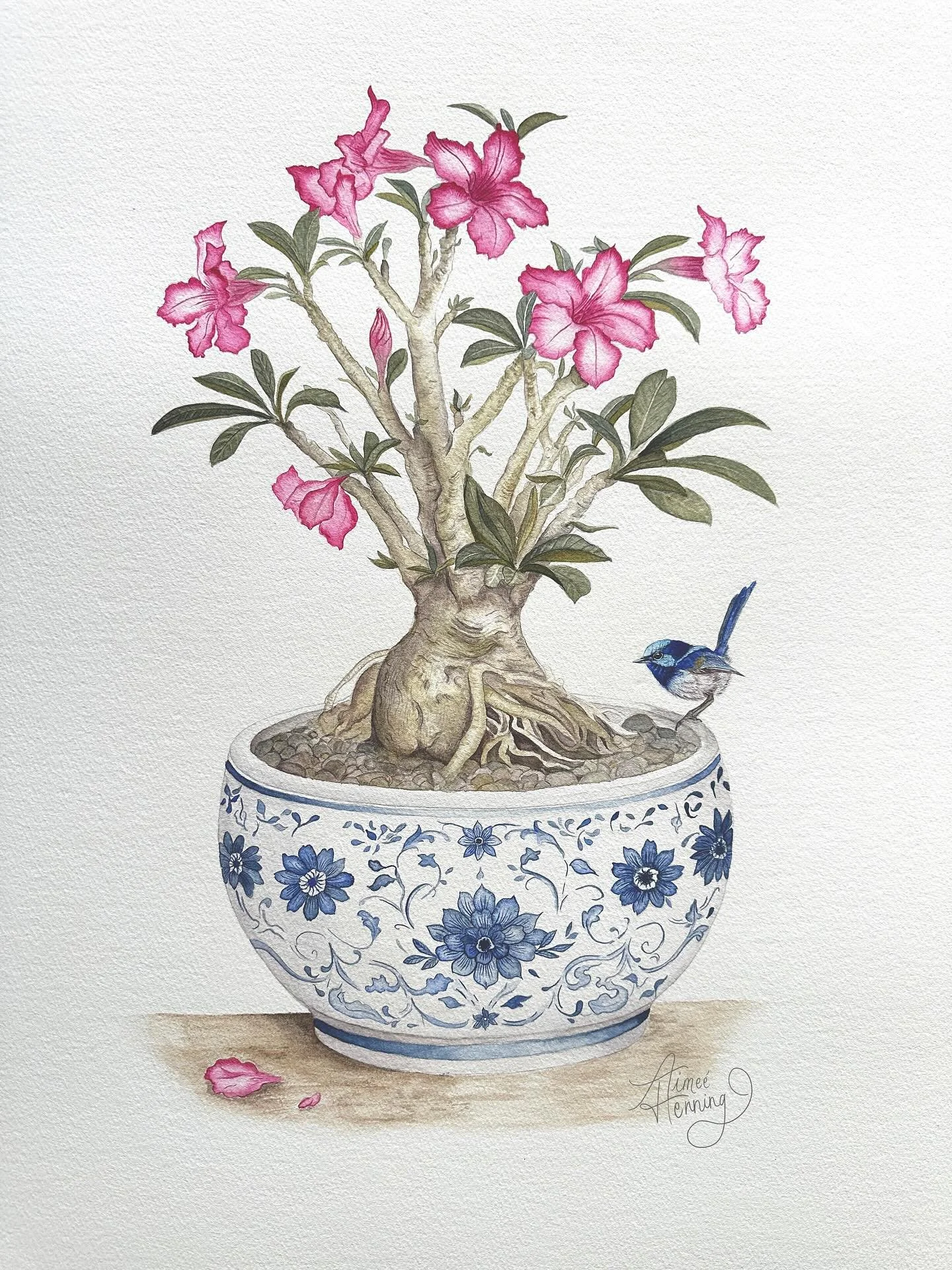 The Wren&rsquo;s Rest ✨ - part of my upcoming collection. Original Painting &amp; Limited Edition prints will be available to purchase soon!

#desertrosepainting #desertrose #watercolourartwork #limitededitionart #artprintsforsale