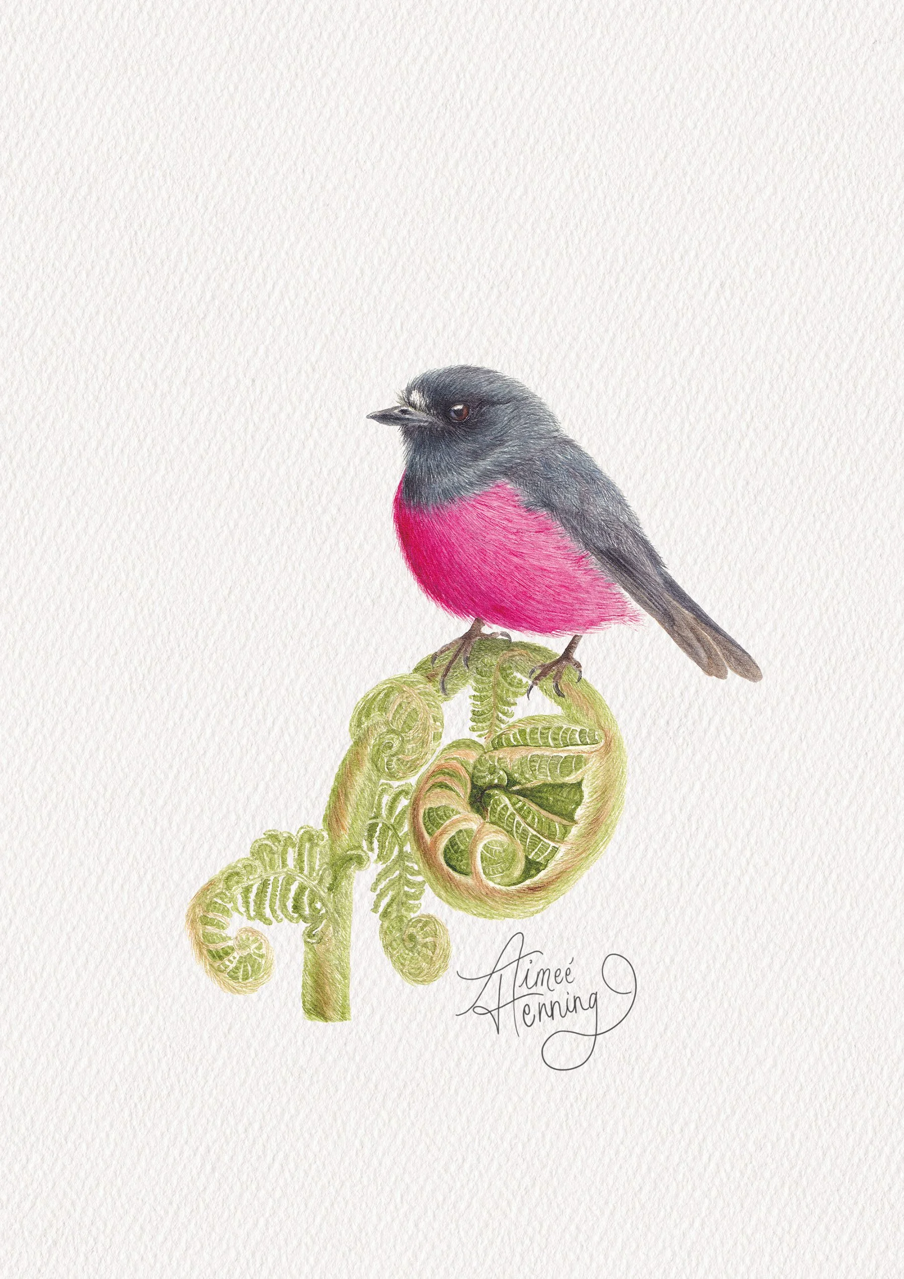The Pink Robin - Original Painting