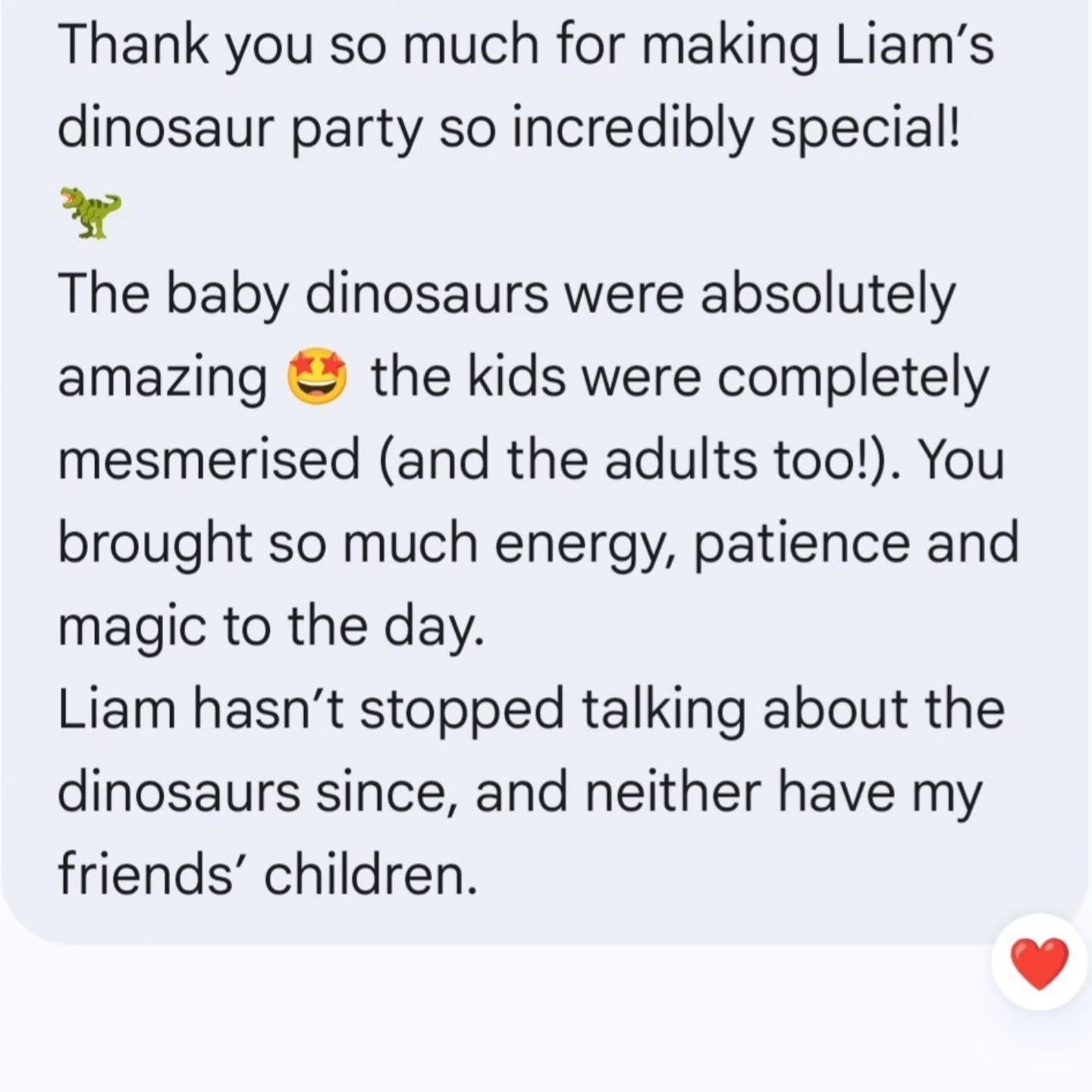 We absolutely love hearing your feedback from our dinosaur birthday parties! 🦖

Every party we attend is different. We arrive, read the room, and tailor the games to suit the birthday child and their friends so everyone has a ROARSOME time.

Your be