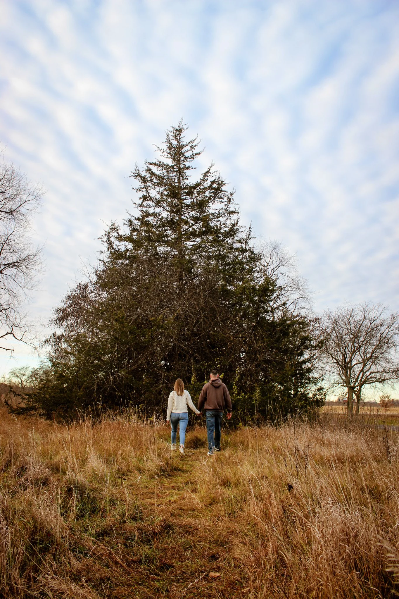 A couple holding hands walking towards a large pine tree in an open field with tall grass, under a partly cloudy sky.