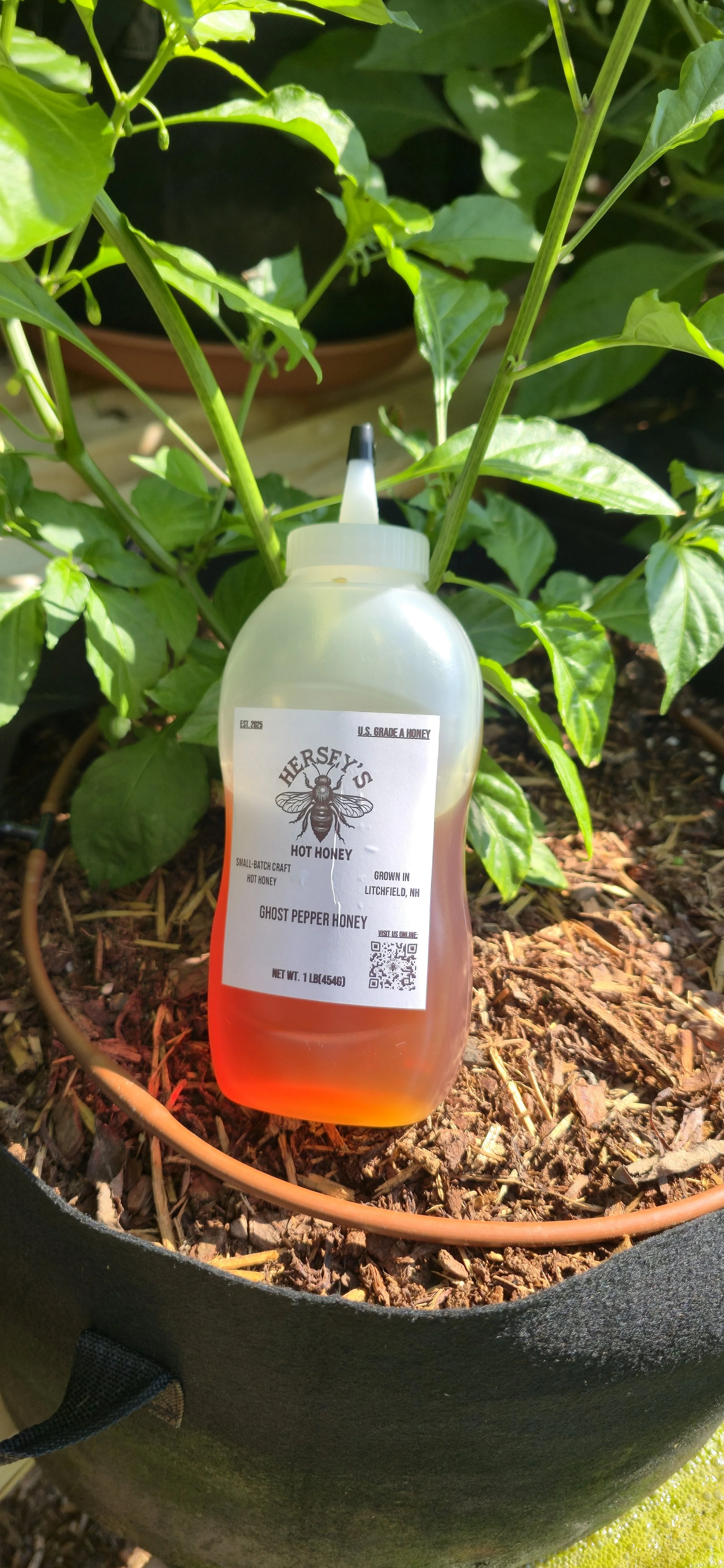 Hersey's Hot Honey 1 lb Squeeze bottle