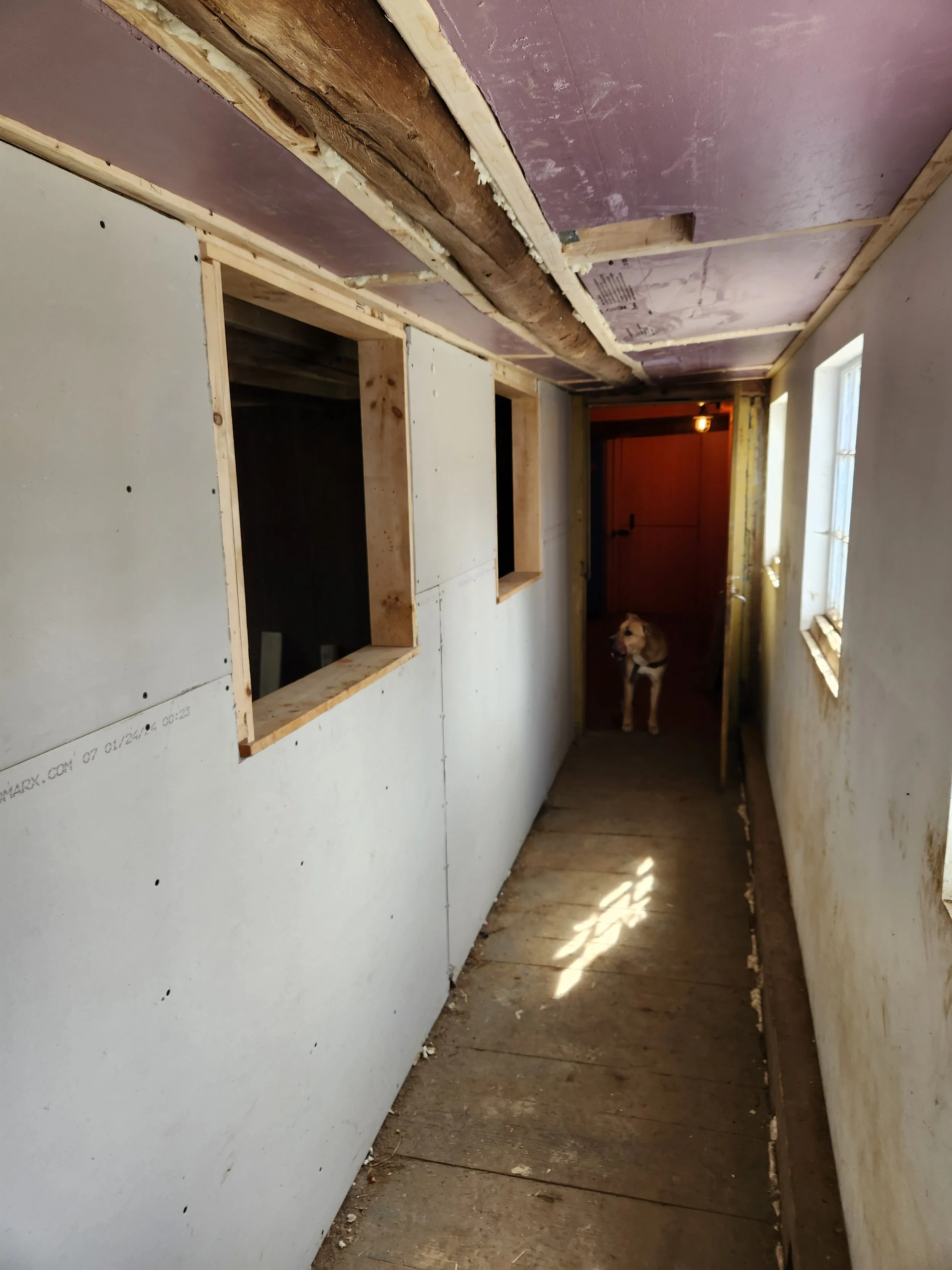 Interior of a construction or renovation site, showing partially installed drywall and exposed wooden framing, with a dog standing near a doorway at the end of a narrow corridor.