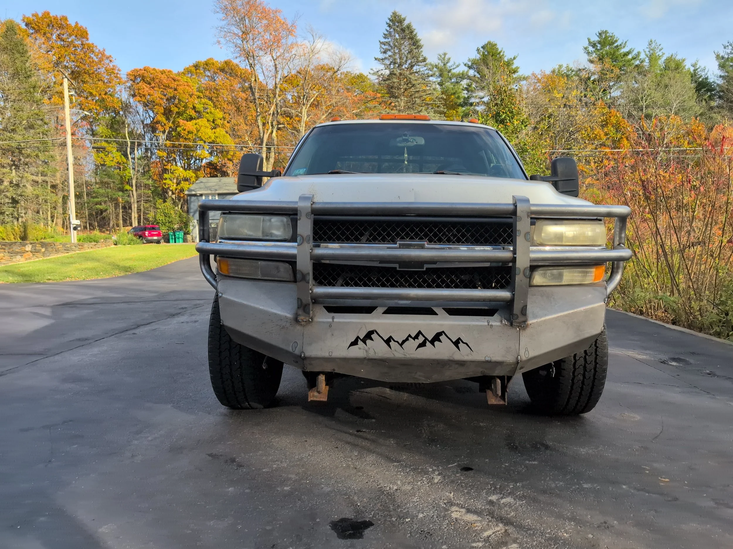 Front view of a silver pickup truck with a black metal grille guard and mountain decal at the bottom, parked on a driveway with trees and autumn foliage in the background.