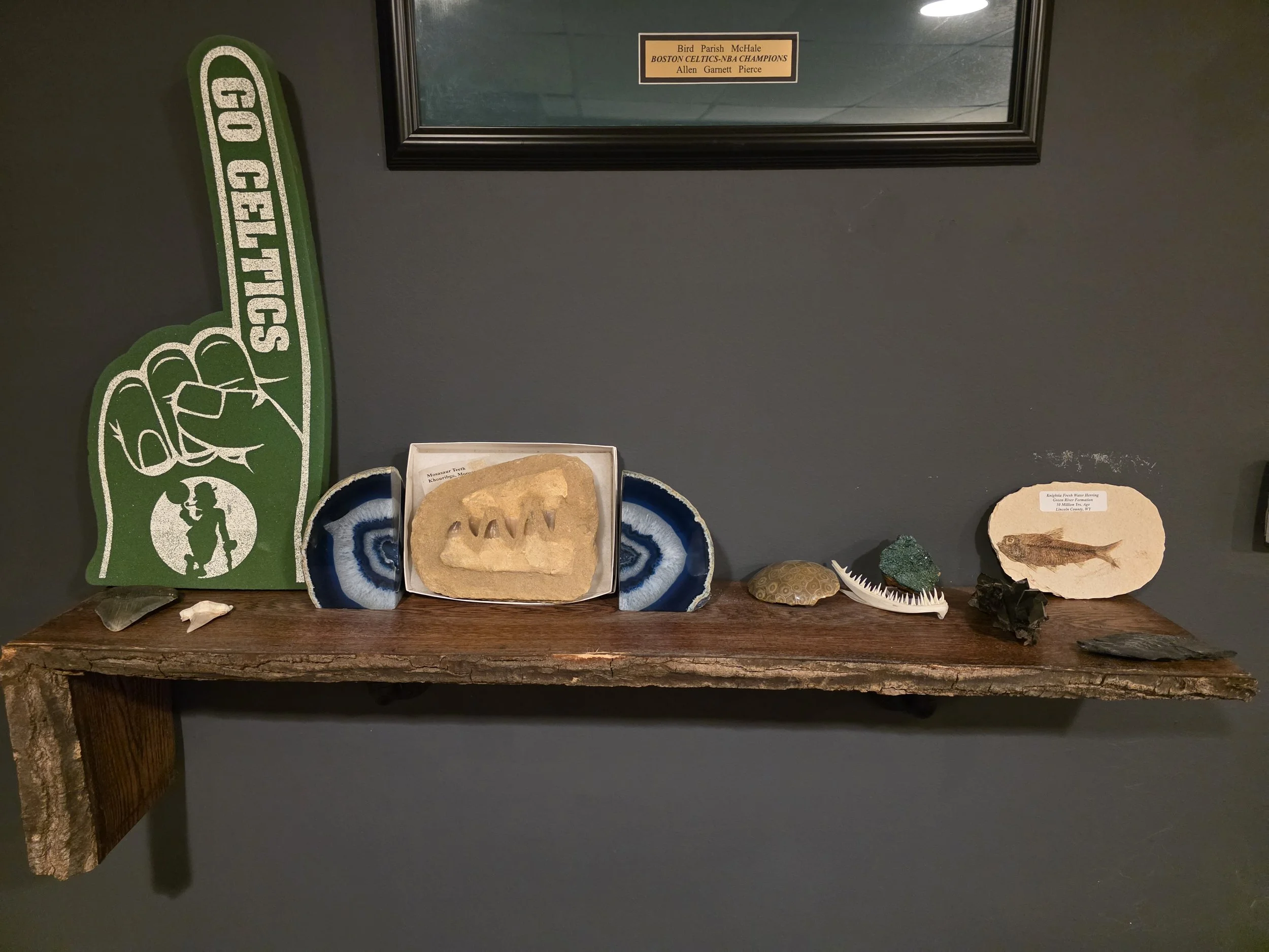 Display of rocks and minerals on a wooden shelf. A foam cutout of a green foam finger with
