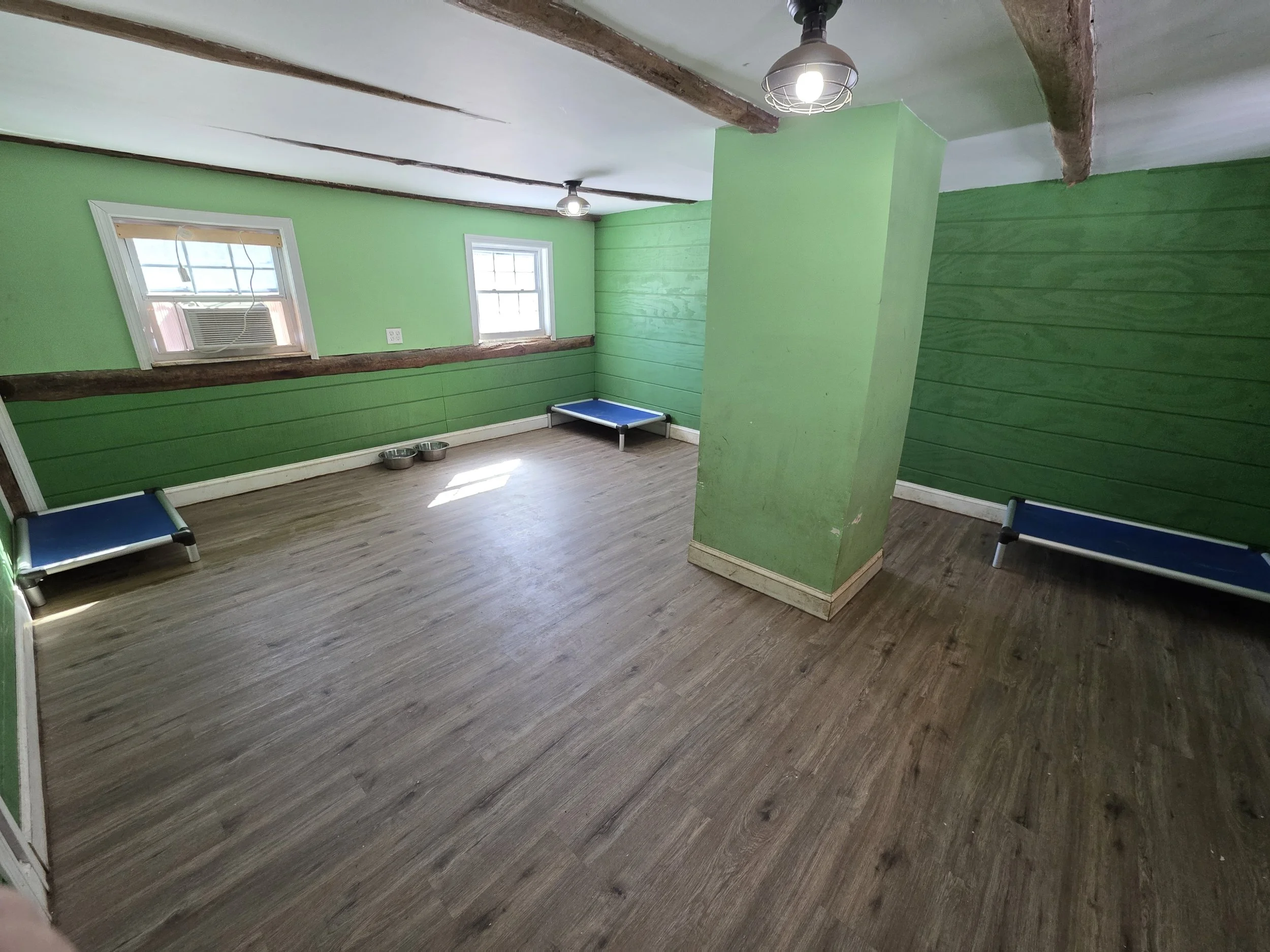 A small room with green walls, wooden beams, two small windows with an air conditioning unit, and two pet beds on the floor.