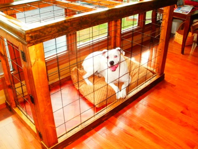 Dog inside a wooden and wire cage on a wooden floor, lying on a beige bed with its front paws hanging over the edge, looking at the camera.