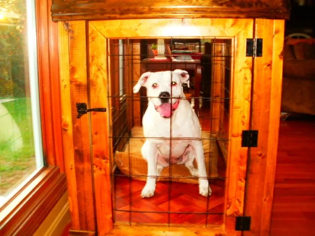 A white dog sitting inside a wooden and wire crate with a happy expression.