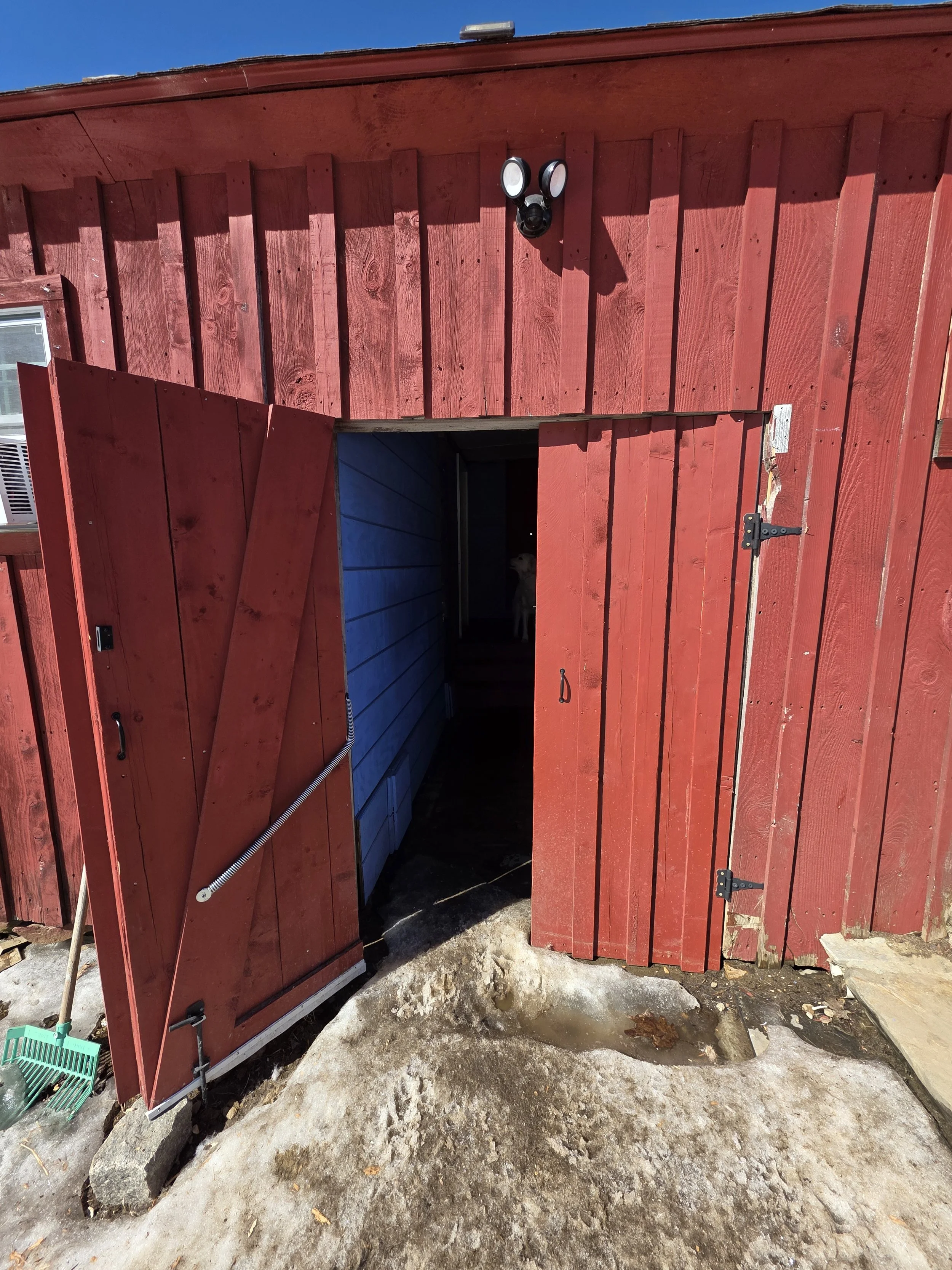 Open red wooden door leading into a dark shed or storage area, with a blue interior wall visible and snow and ice on the ground outside.