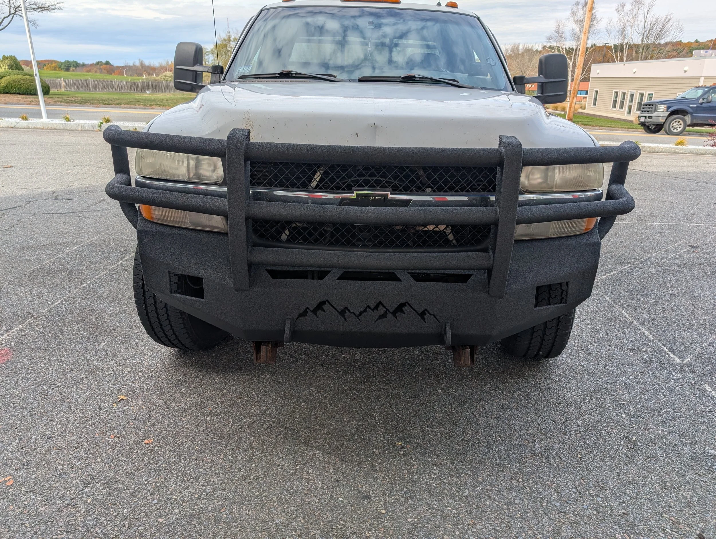 Front view of a gray pickup truck with a black front bumper guard featuring mountain designs, parked in an outdoor lot with a background of trees, buildings, and another truck.