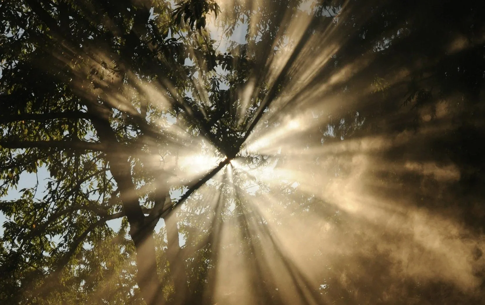 Normal things in therapy, from a therapist.