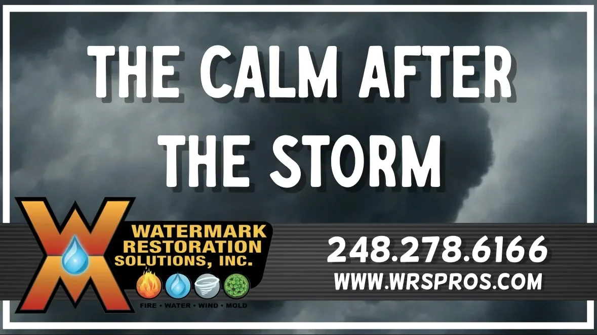After the Storm: Professional Storm Damage Cleanup with WRS Pros