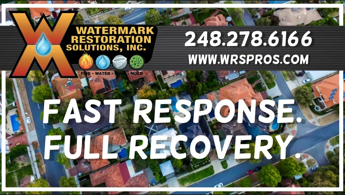 Specialty Cleanup Services: Going Beyond the Basics