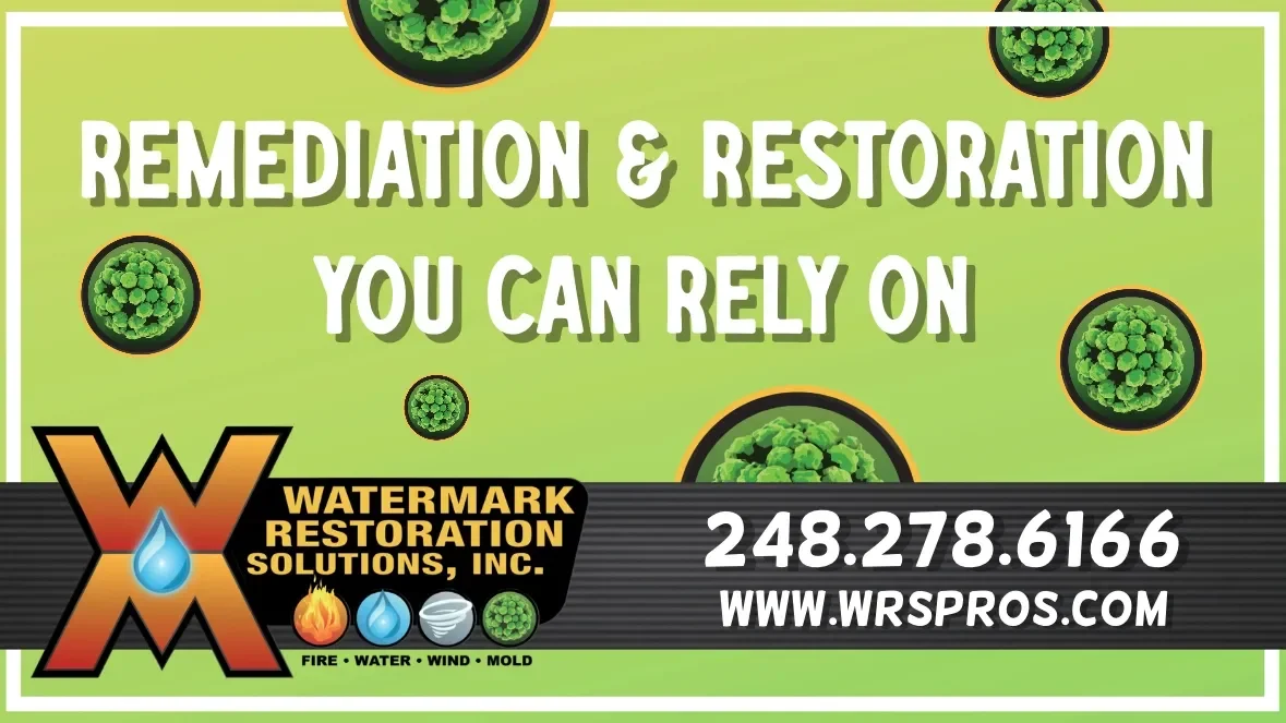 Mold Remediation: Protecting Your Home and Your Health