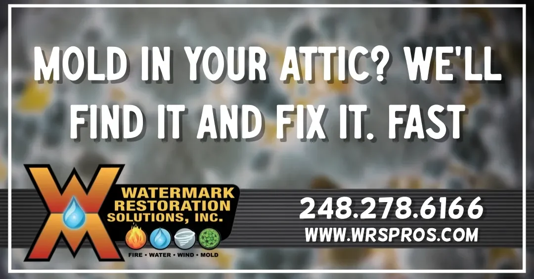 The Hidden Threat in Your Attic: What You Need to Know About Mold Growth