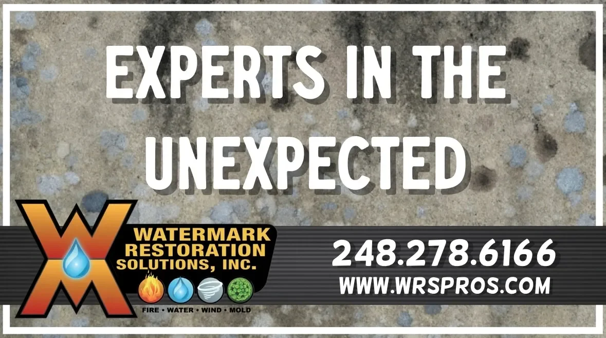 What to Do After Property Damage