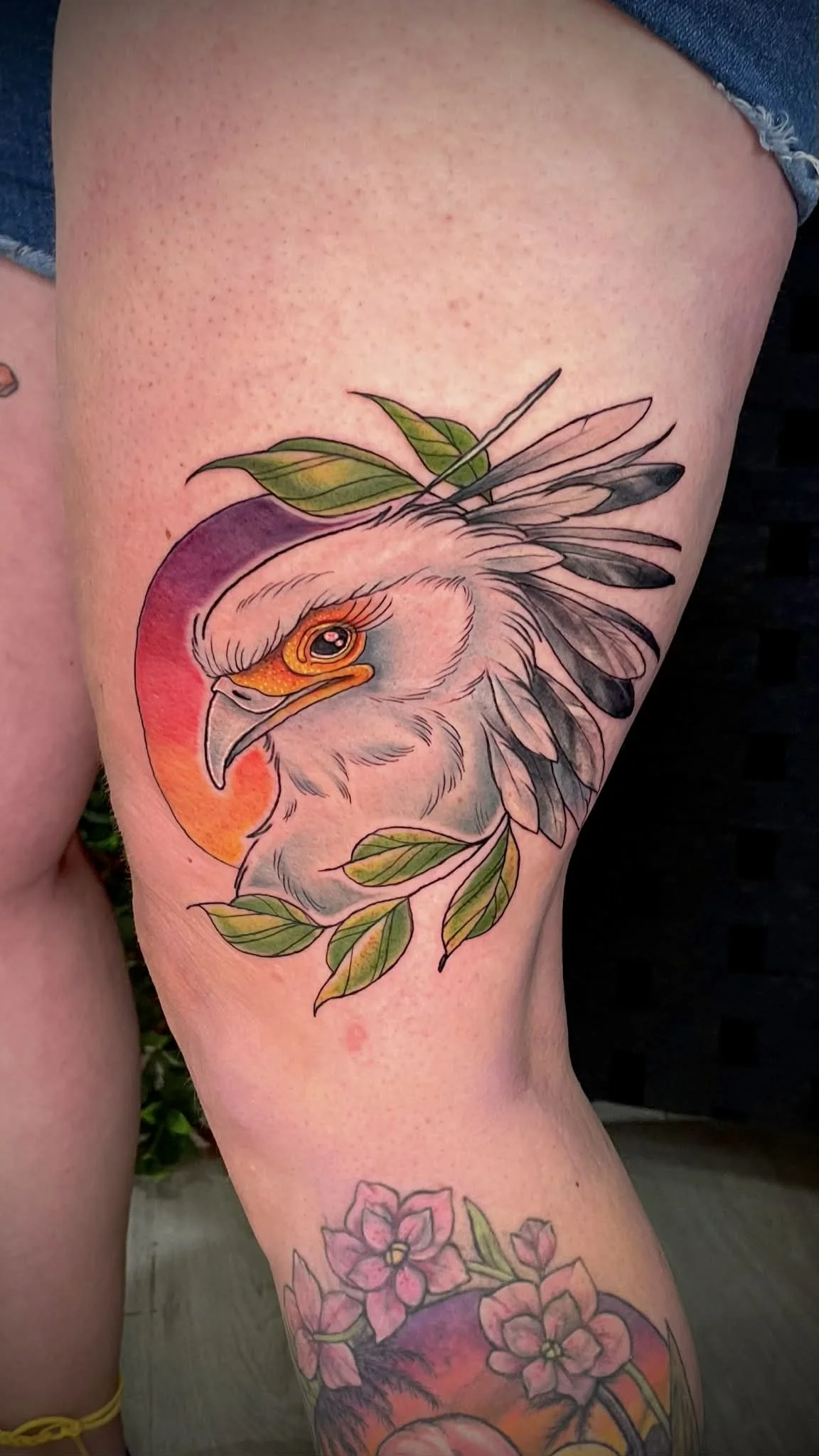 Colorful tattoo of a bird with a large beak, surrounded by green leaves, on a person's thigh. Secretary bird