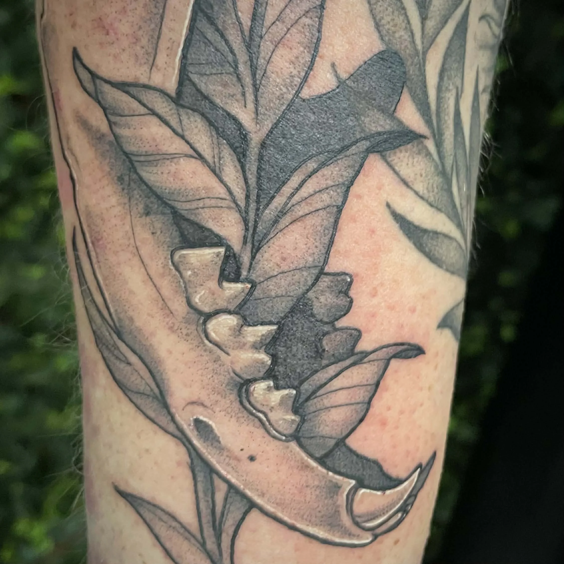 Black and gray tattoo of a jaw bone  surrounded by leaves.