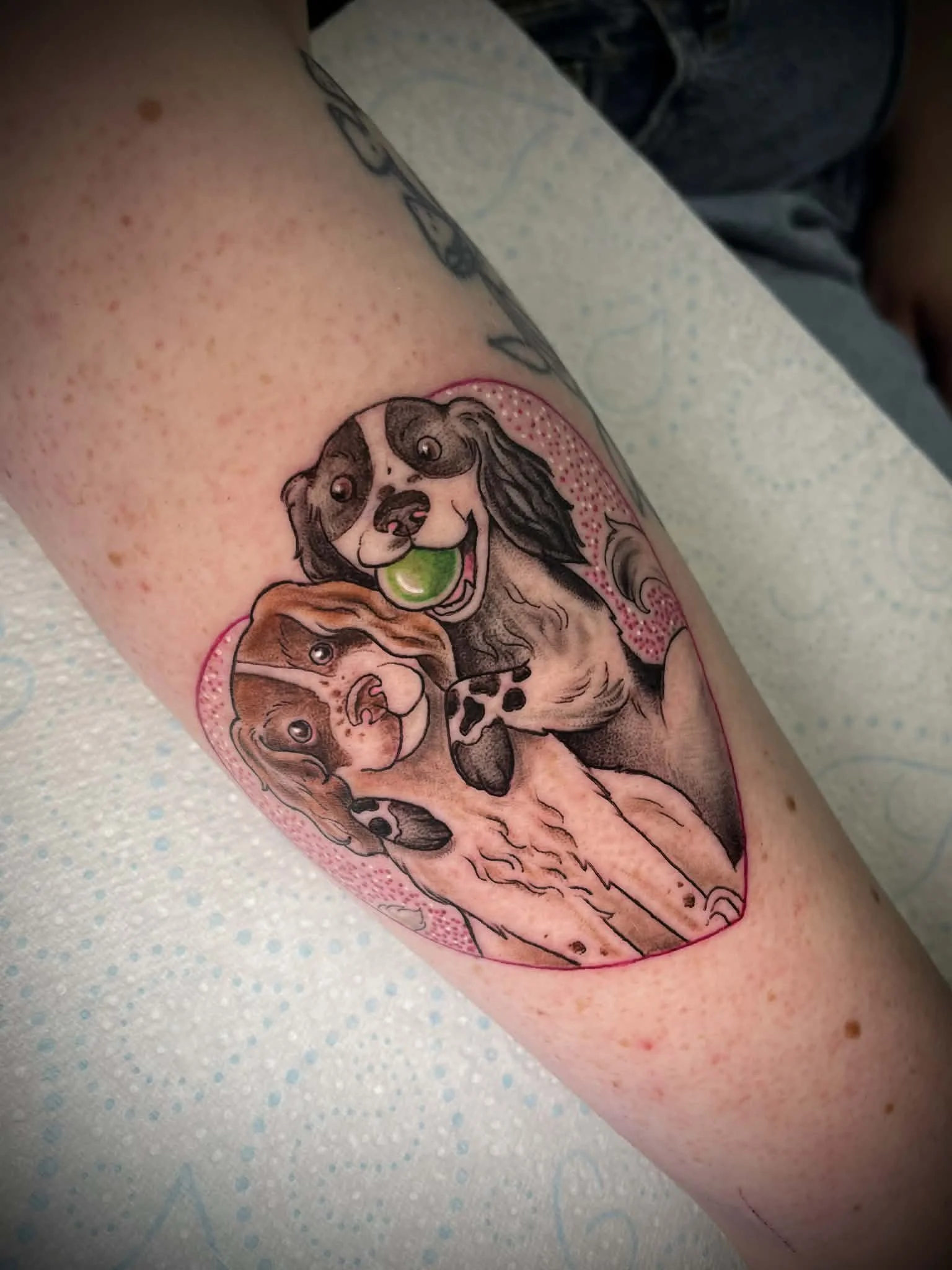 Colorful tattoo of two adorable dogs inside a pink background on a person's upper arm.