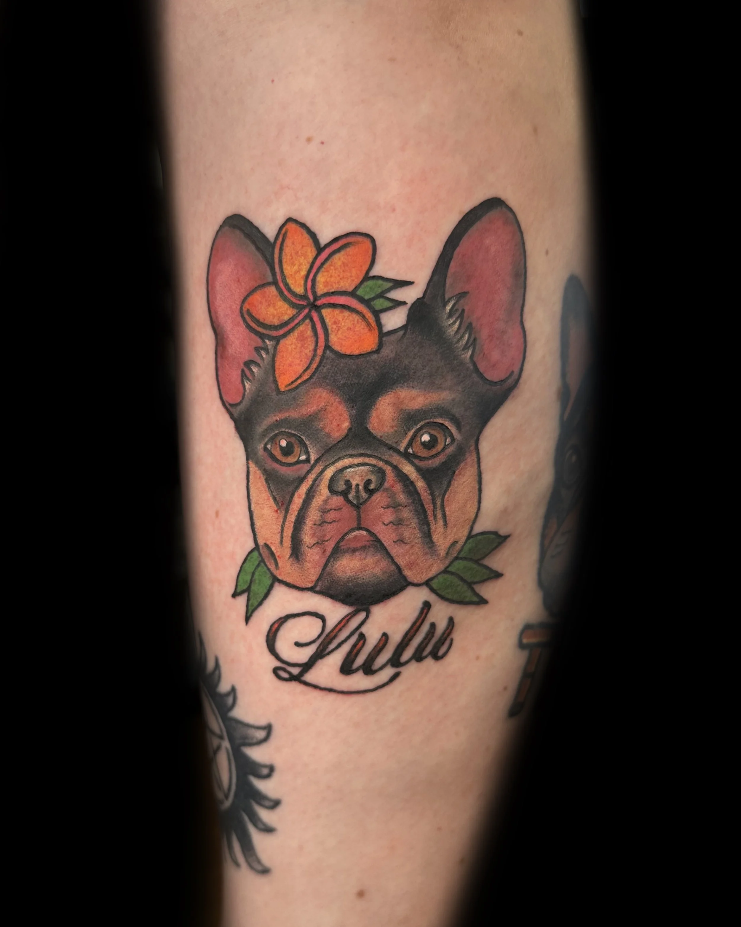 Tattoo of a French Bulldog's face with a flower on its head and green leaves around its neck, with the name 'Lulu' written below.