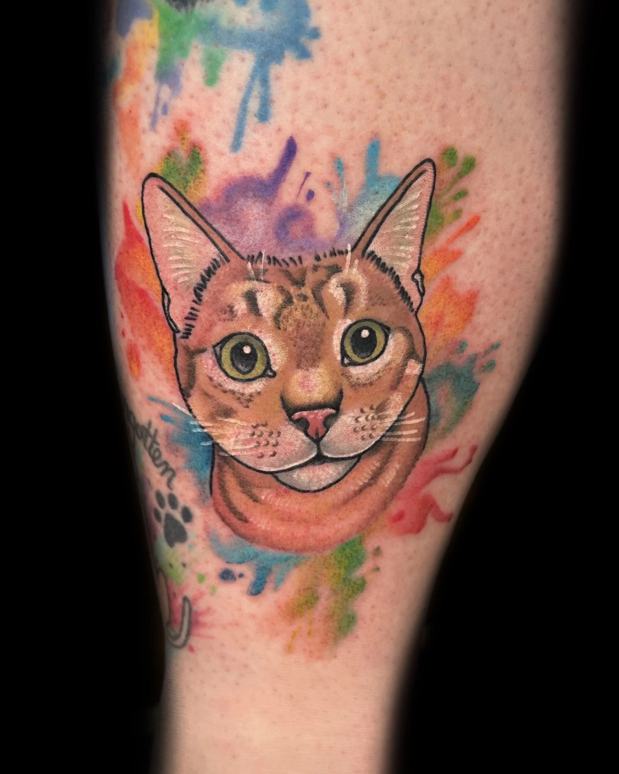Colorful tattoo of a cat's face with a watercolor background.