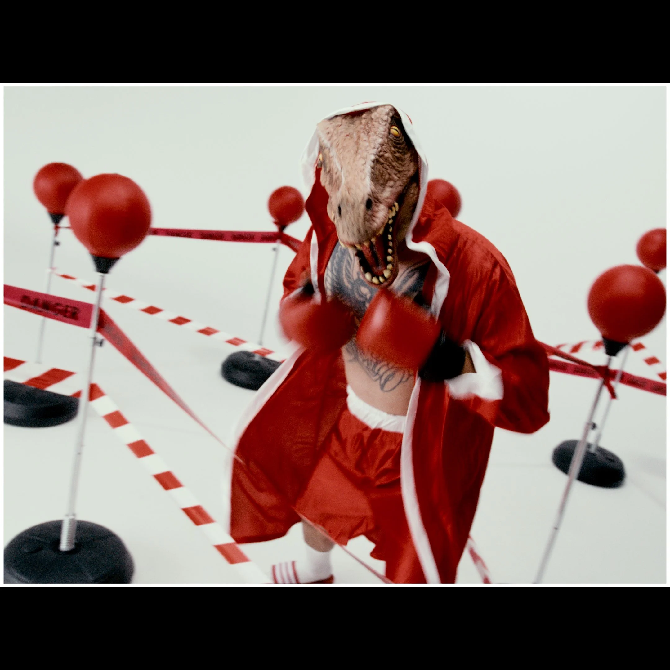 Still 2026-02-14 021449_3.1.7.jpg