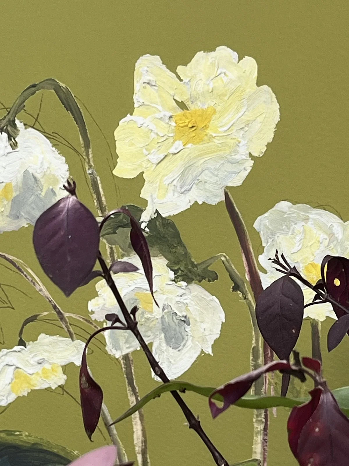 helleborus detail.jpg