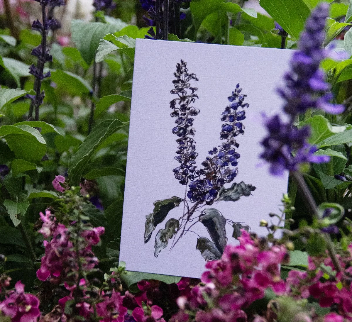 Musings - Happy April! 2026