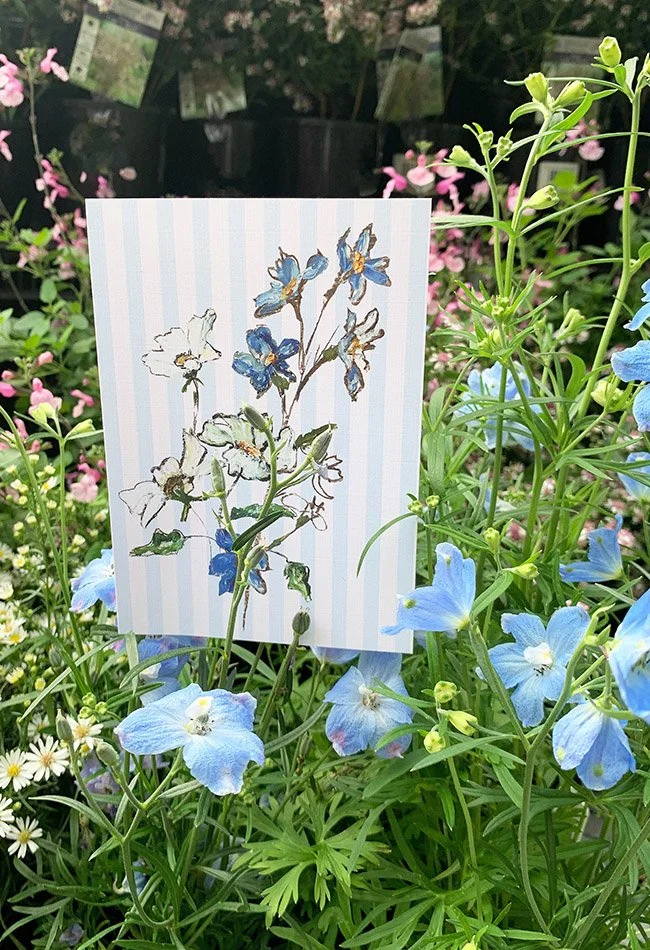 blue stripe card2.jpg