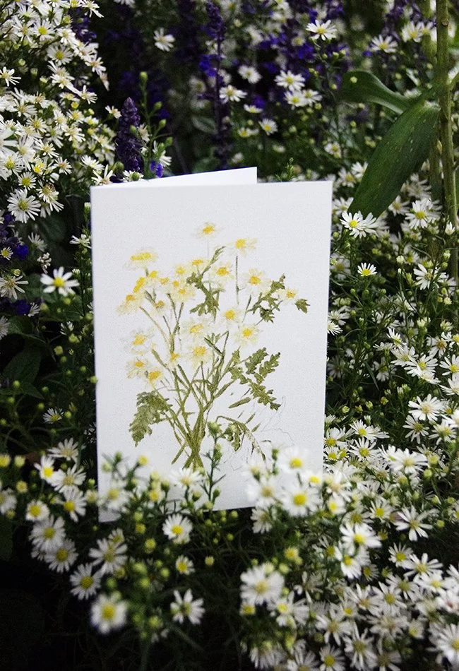 daisies bunch card6.jpg