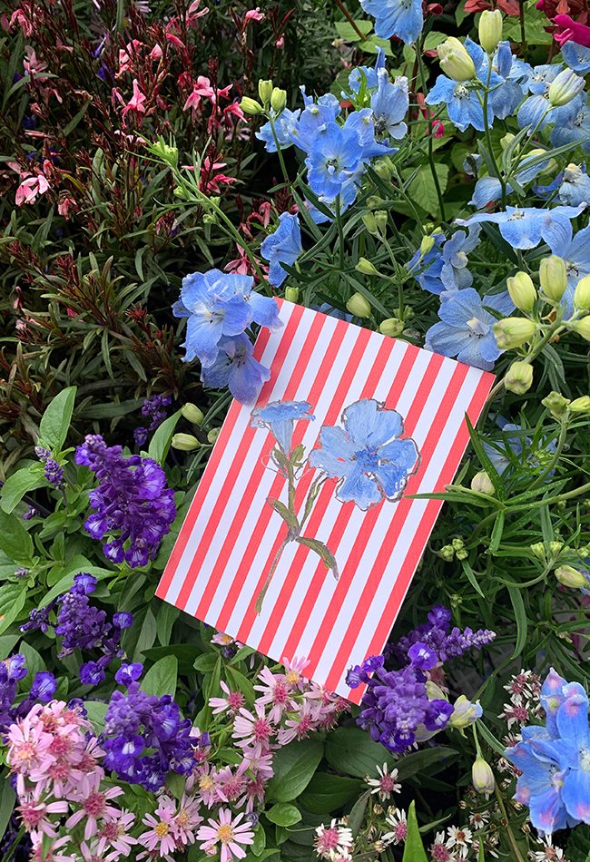 red stripe card3.jpg