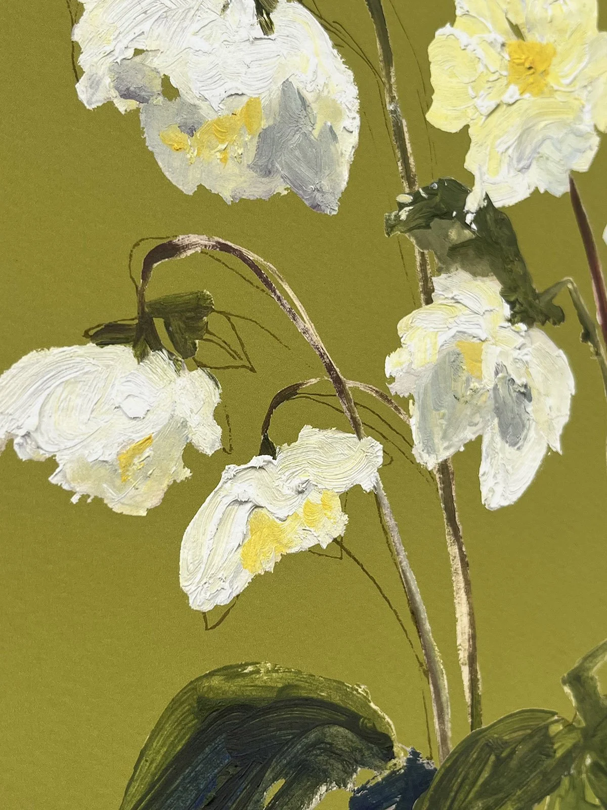 helleborus detail2.jpg