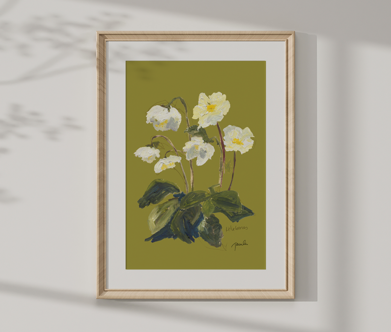 'Helleborus (Buckets of Joy)' botanical study fine art reproduction
