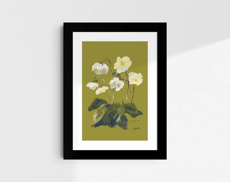 'Helleborus (Buckets of Joy)' botanical study fine art reproduction