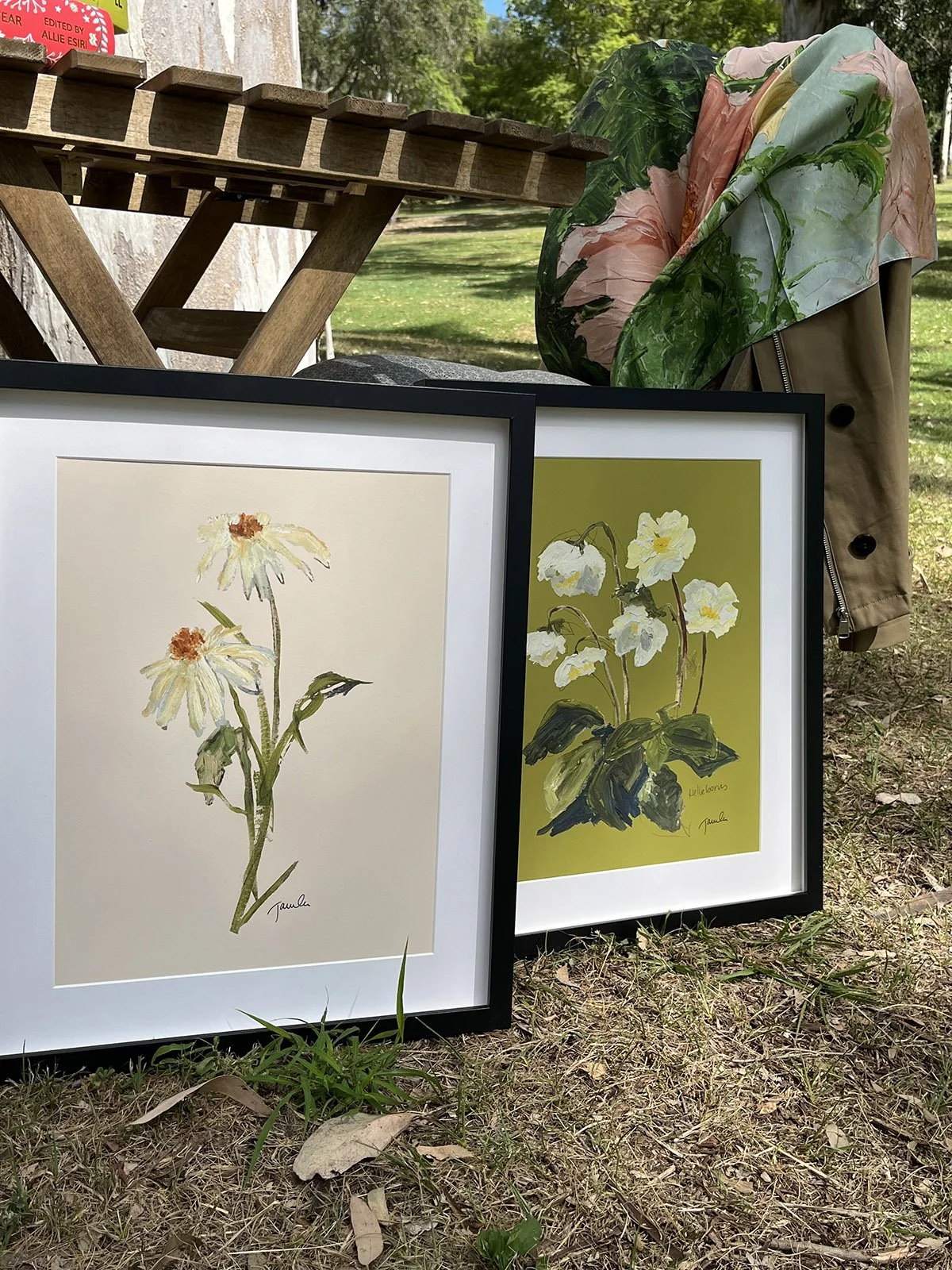 helleborus daisies2.jpg